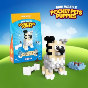 Mini Waffle - Pocket Pets Puppies - Sheltie