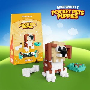 Mini Waffle - Pocket Pets Puppies - Beagle