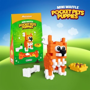 Mini Waffle - Pocket Pets Puppies - Corgi