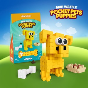 Mini Waffle - Pocket Pets Puppies - Golden