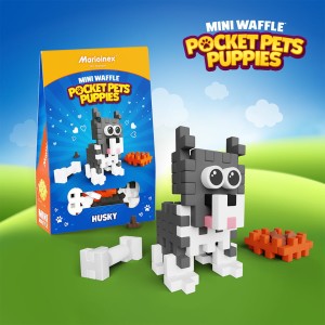 Mini Waffle - Pocket Pets Puppies - Husky