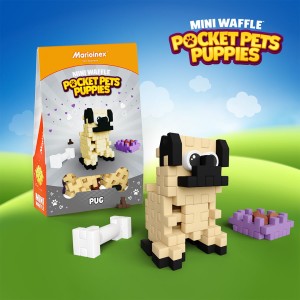 Mini Waffle - Pocket Pets Puppies - Mops