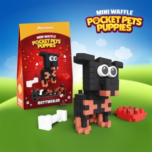 Mini Waffle - Pocket Pets Puppies - Rottweiler