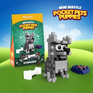 Mini Waffle - Pocket Pets Puppies - Sznaucer