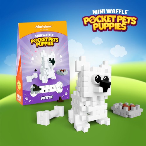Mini Waffle - Pocket Pets Puppies - Westie - Marioinex